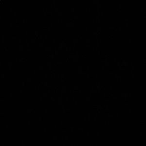 Meet your Posher, Jayde